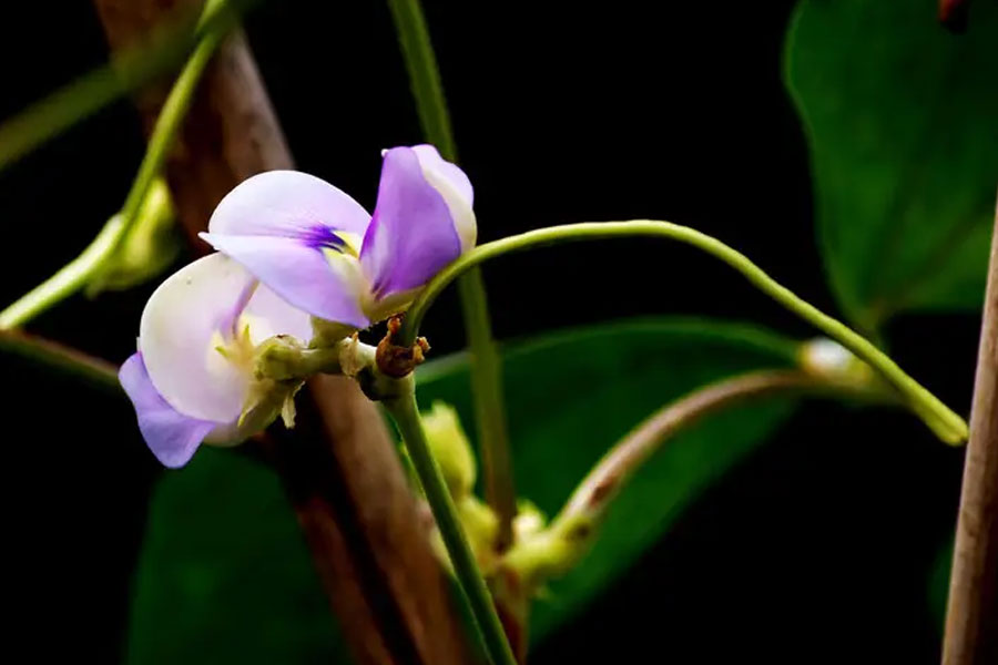 1667294663222646.jpg 20221025-1-1-4.jpg