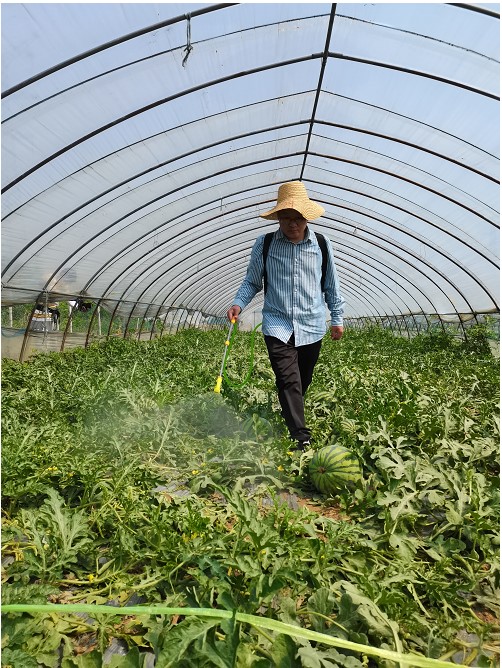 1667294732518657.jpg 20221025-1-2-3.jpg