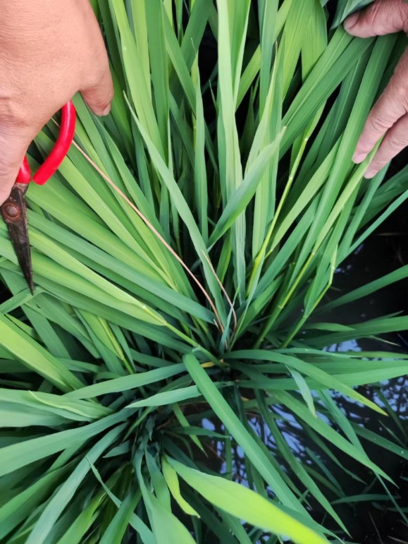 1667294814377215.jpg 20221025-1-4-1.jpg