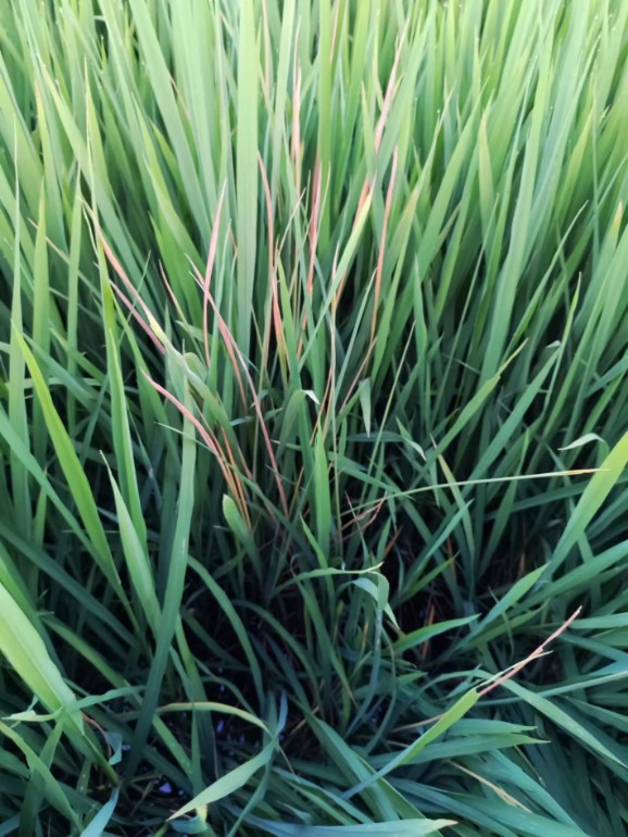 1667294822331698.jpg 20221025-1-4-2.jpg