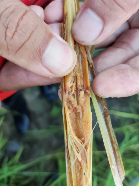 1667294831717749.jpg 20221025-1-4-3.jpg