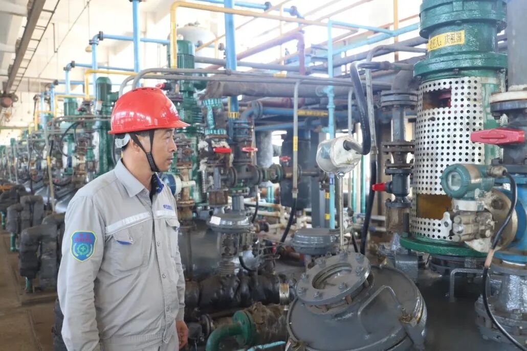 1759579097429909.jpg 5-6.jpg