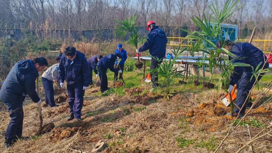 1773384826874168.jpg 2.jpg