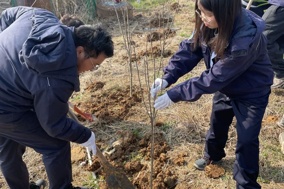 1773384851120256.jpg 3.jpg