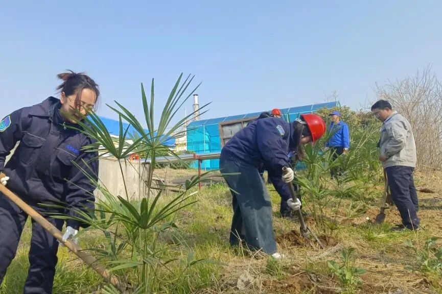 1773384860948407.jpg 4.jpg